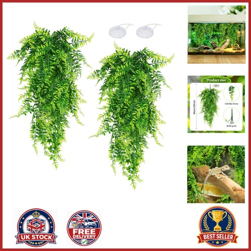 Reptile tank accessories - reptile,
