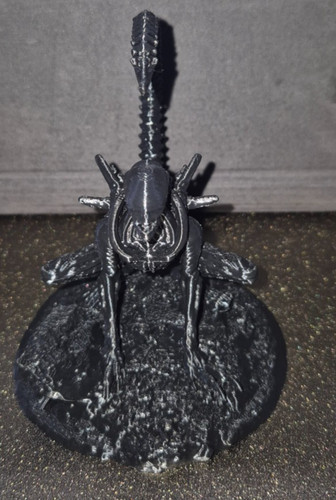 Alien xenomorph creature - alien,