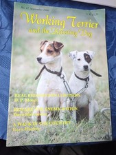 Working Terrier And The