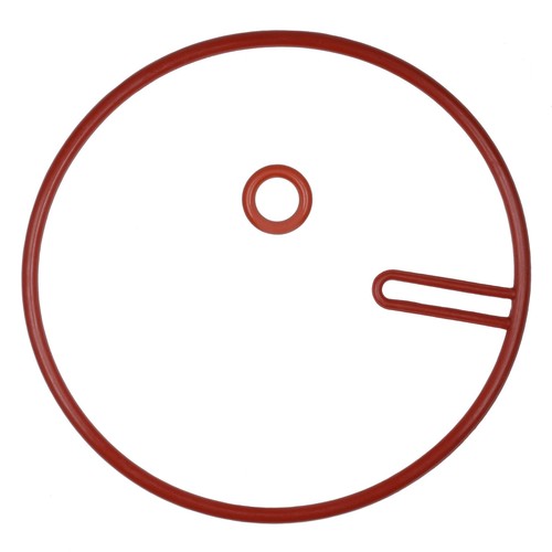 Gasket set for saeco royal - gasket,