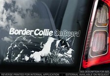 Border Collie Car Sticker - Dog On Board Bumper Window Decal Sign Gift Idea V02