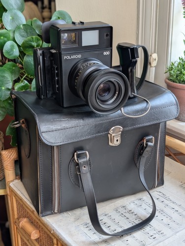 Polaroid 600 medium format - 600,