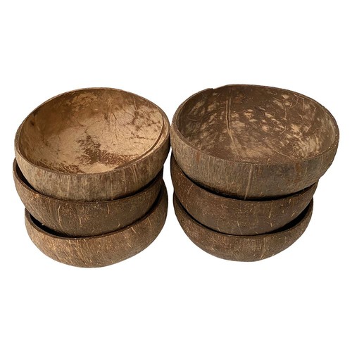 Coconut bowl natural textured - bowl,