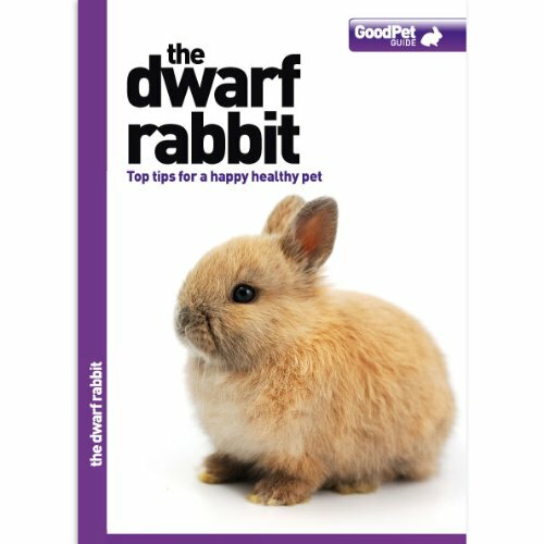 Dwarf rabbit top - tips, for