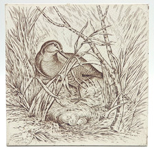 Antique Josiah Wedgwood & Sons