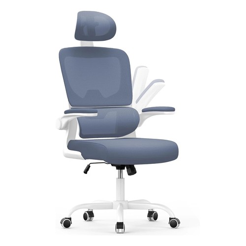 Flexispot ergonomic office - flexispot,