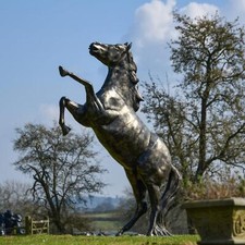 Incredible Life-Size Rearing Horse Garden Sculpture - Aluminium Outdoor Ornament