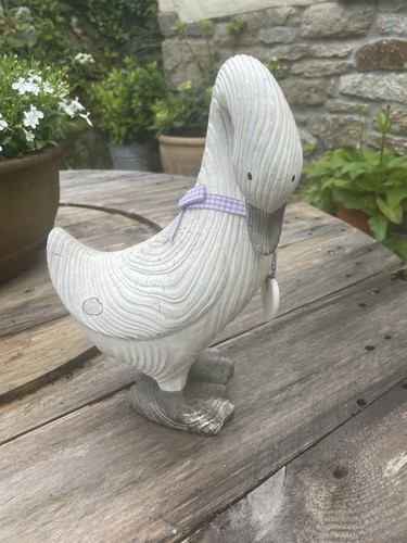 Large white duck - white,