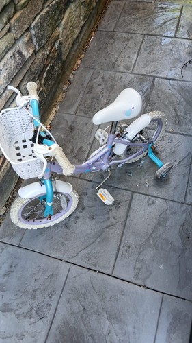 Pedal pals viole bike girls - , 14
