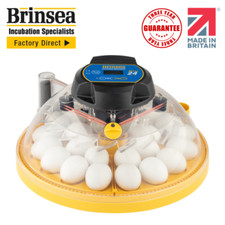 Brinsea Maxi 24 Advance -