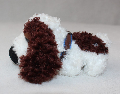 English springer spaniel - springer,