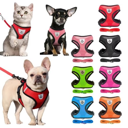 Adjustable cat harness and - cat,