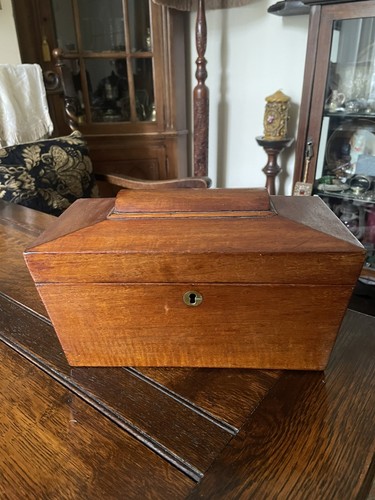 1870 georgian wood tea caddy - tea,