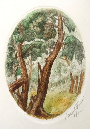 Original etching with trees - original,