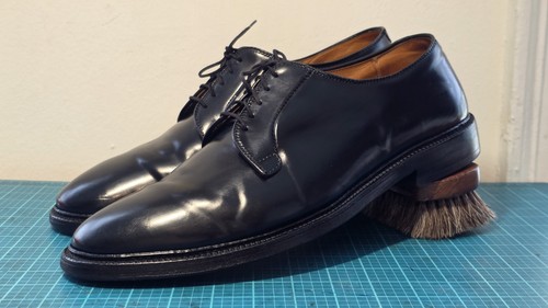 Alden black shell - alden,
