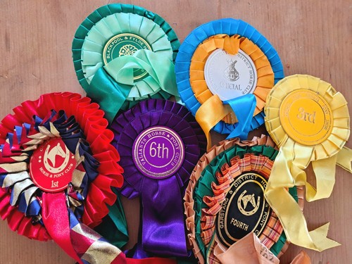 Vintage horse riding - vintage, trophies