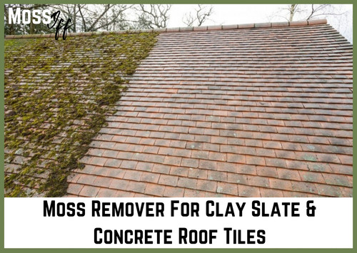 Moss killer for - for, tiles