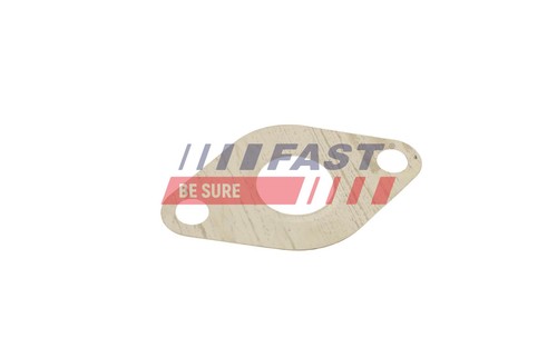 Fits fast ft50609 valve - ft50609, gasket
