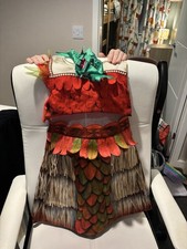 Disney Moana Princess Dress Up
