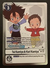 Tai Kamiya & Kari Kamiya -