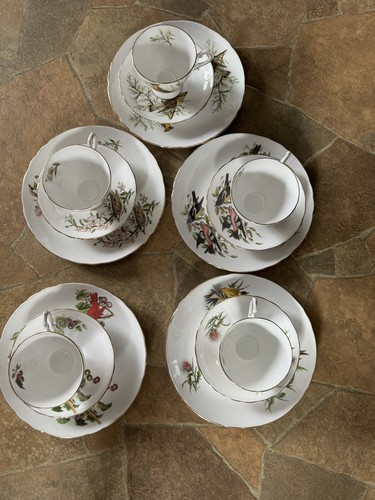 Royal tuscan fine english bone - english,