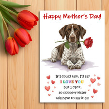 German Shorthaired Pointer