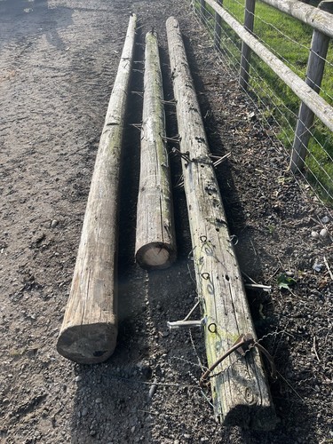 Telegraph poles job lot - x,