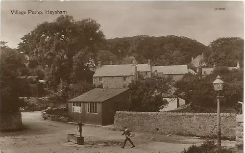The village pump - the,
