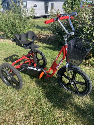 Adults child disability - child’s,