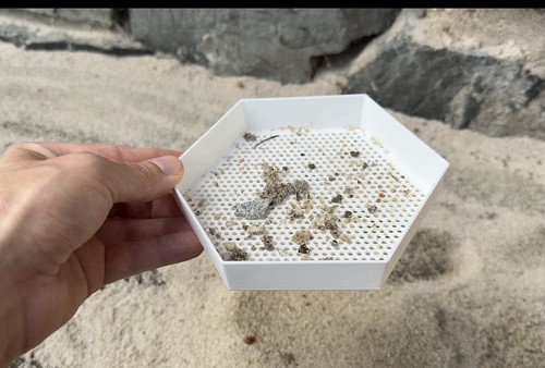 Hexagon sand sifter beach - sifter,
