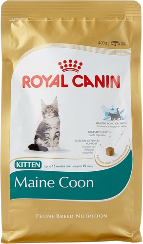 Royal canin kitten - kitten, maine