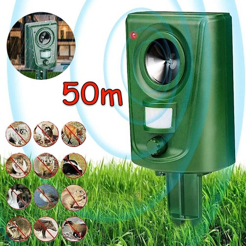 Ultrasonic cat dog fox - dog, pest