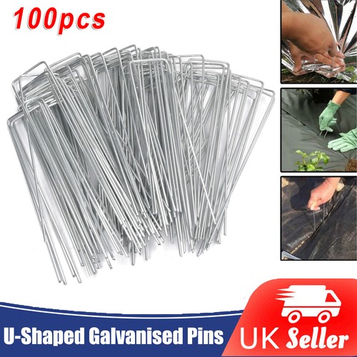 100x galvanised pins weed - galvanised,