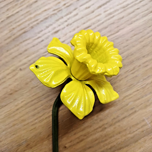 Steel daffodil garden bare - garden,