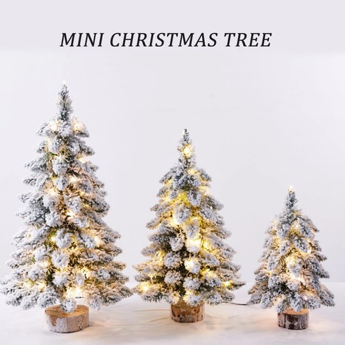 Light christmas tree with - christmas,