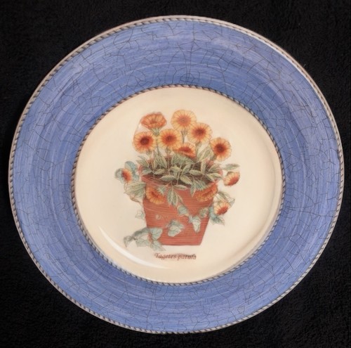 Wedgwood sarah garden - "wedgwood, sarah's