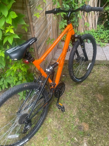 Apollo radar mountain bike - mountain,