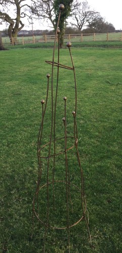 Obelisk climbing rose plant - obelisk,