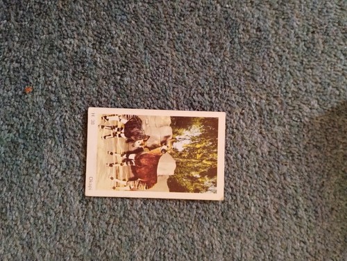 Sk13 trade card dandy wild - sk13,