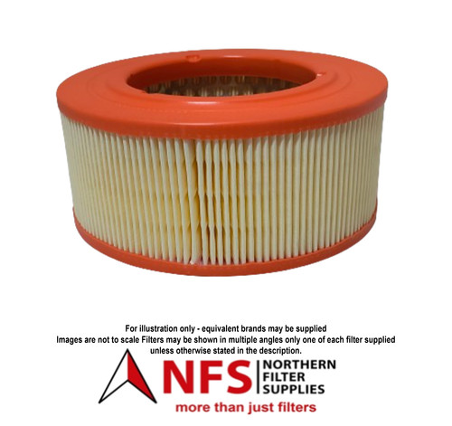 Air filter fits lister - air,