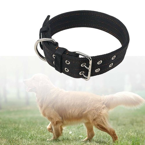 Dog collar for large breed - dog,