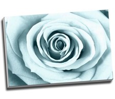 DUCK EGG ROSE Canvas Print