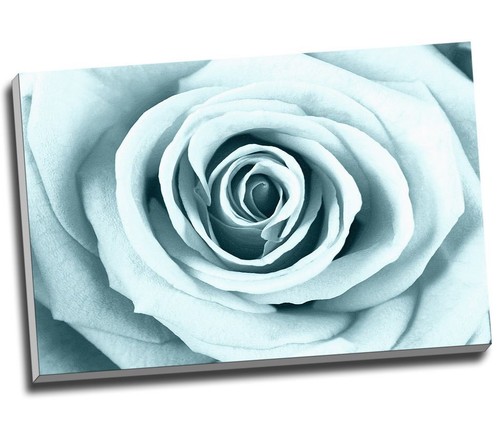 Duck egg rose - egg, canvas