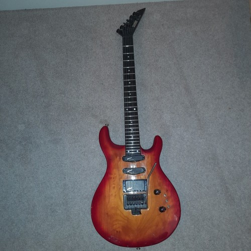 Hohner professional lion - professional, sg