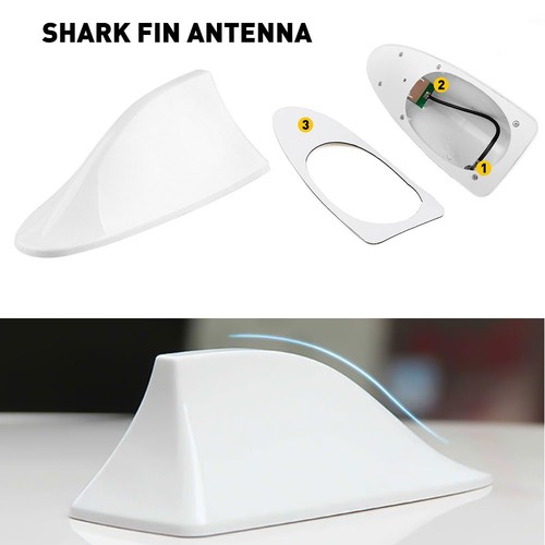 White car suv shark fin - shark,