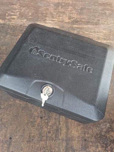 Sentrysafe fireproof safe - fireproof,