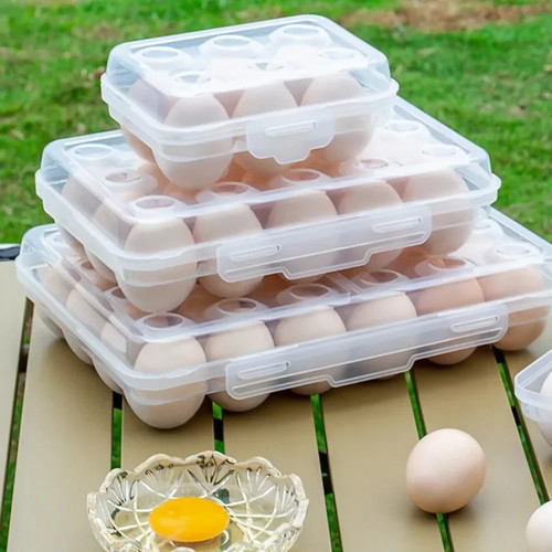 Grid egg holder box - 6,