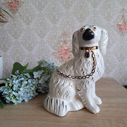 Rare very large staffordshire - rare,