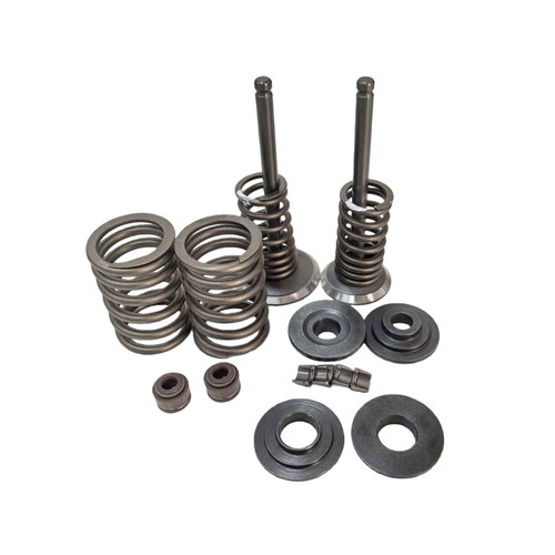 Cylinder head valve kit for - valve,