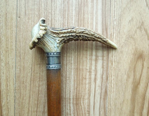 Vintage antler stag horn - stag,